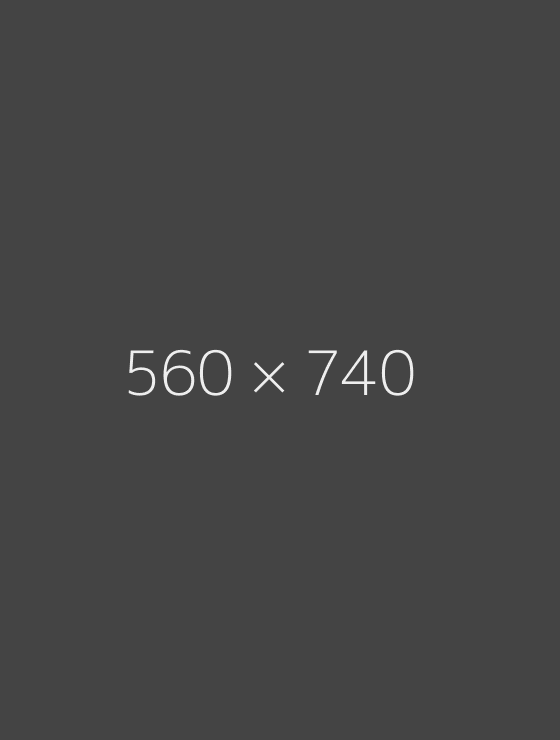 560x740